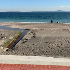三浦海岸