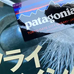 パタゴニア 東京・ゲートシティ大崎