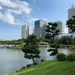 浜離宮恩賜庭園 八景山