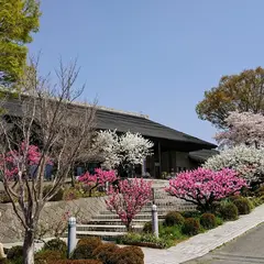 釈迦堂遺跡博物館
