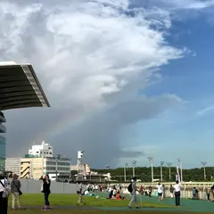 ウマイルスクエア