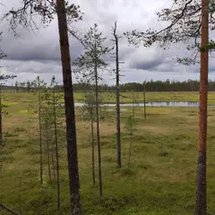 パトビンスオ国立公園（Patvinsuo National Park）