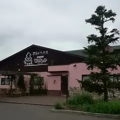ぐりむわーるど南福島店