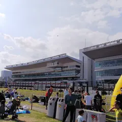 川崎競馬場 芝生広場