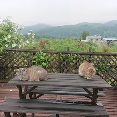 裁ちそば 紅葉亭