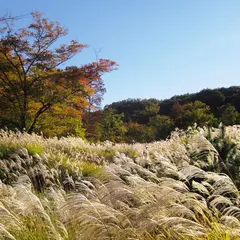 都立狭山公園