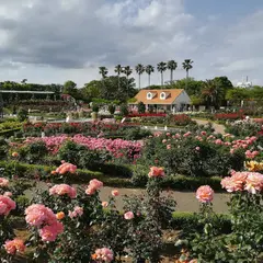 谷津干潟