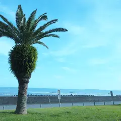 用宗緑地