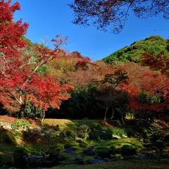 清水寺本坊庭園