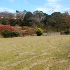 野尻湖公園