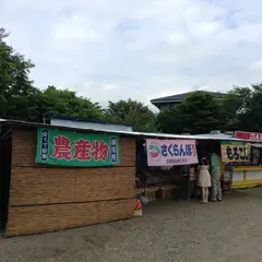 桜桃園直売所