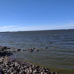 ペトロドヴォレツ