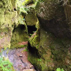 苔の洞門
