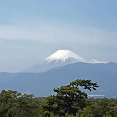 千本松原
