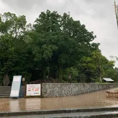 道後公園