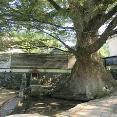 けやき水源