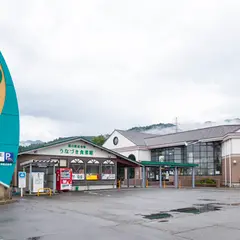 道の駅 うなづき