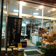 和泉屋 茂蔵