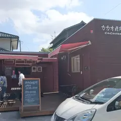 カカオ研究所