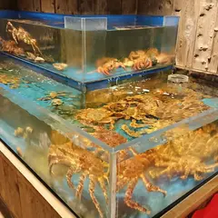 明日香