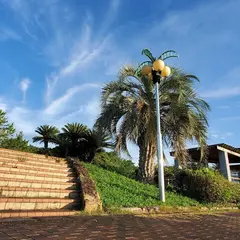 種崎千松公園キャンプ場