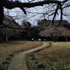 怒田城跡（沼田城跡）