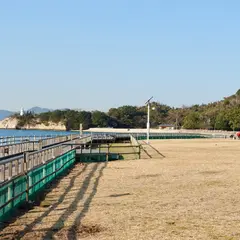大久野島キャンプ場