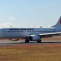 ピクニック広場