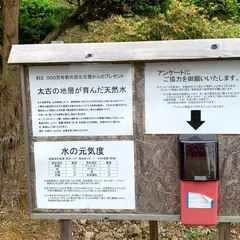 ㈱ヤクモ飲料