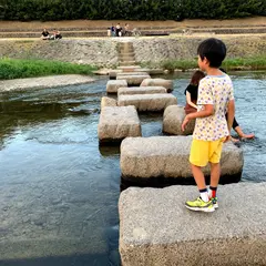 二条 飛び石⑤