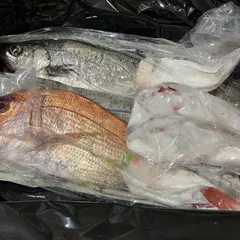 西洋食堂 Poussin プーサン