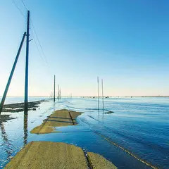 長部田海床路