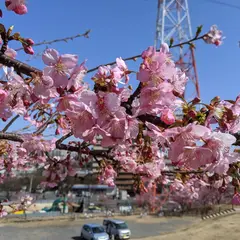 松ヶ崎城跡