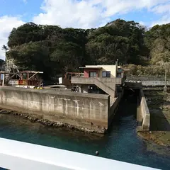 歩道橋（かつうら海中公園）