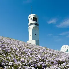 横浜港シンボルタワー