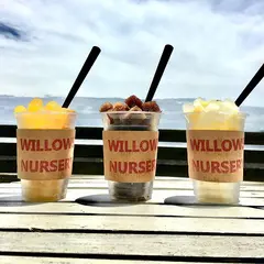 WILLOWS NURSERY （ウィローズナーサリー）
