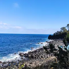 城ヶ崎ピクニカルコース