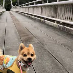 バンナ公園