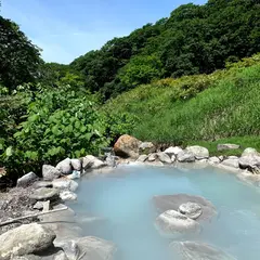 一本松温泉 一本松たっこの湯