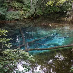 神の子池
