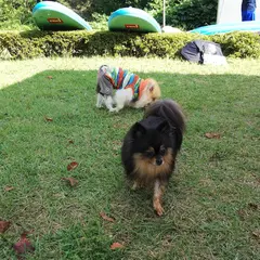 Spesアクティビティ那須