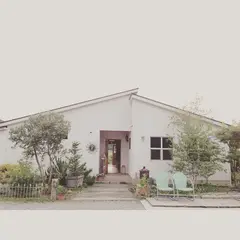 SETT F.