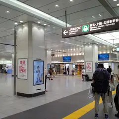 東京駅八重洲中央口（改札）
