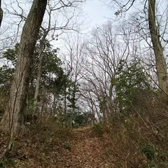 虚空蔵山城跡