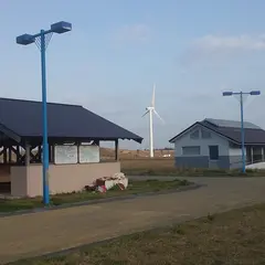マリンパーク御前崎 キャンプ場