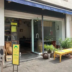 SPRING / SUMMER / AUTUMN / WINTER