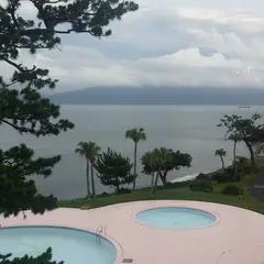 指宿いわさきホテル（バス）