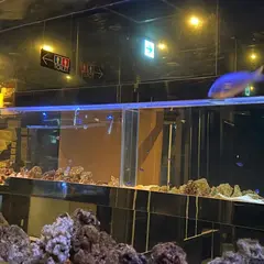個室AQUARIUM RESORT 青の洞窟 難波店