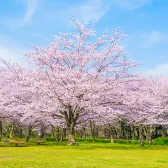 青葉の森公園