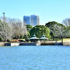千葉県立柏の葉公園
